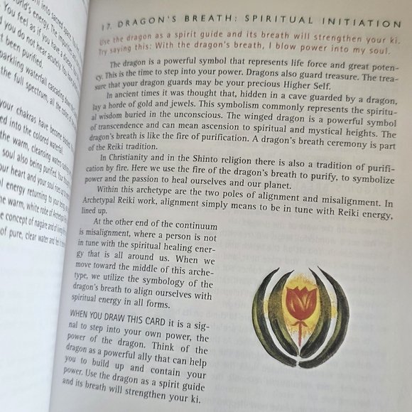 Deck & Guidebook – Multicolor - Picture 4 of 5